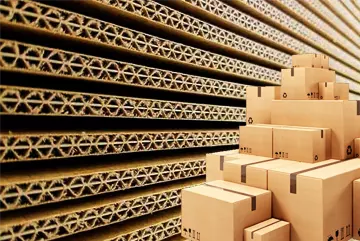 Başlıca Üretim Çeşitleri